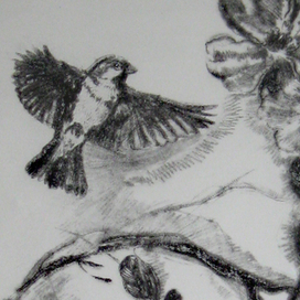 Пташка лети 