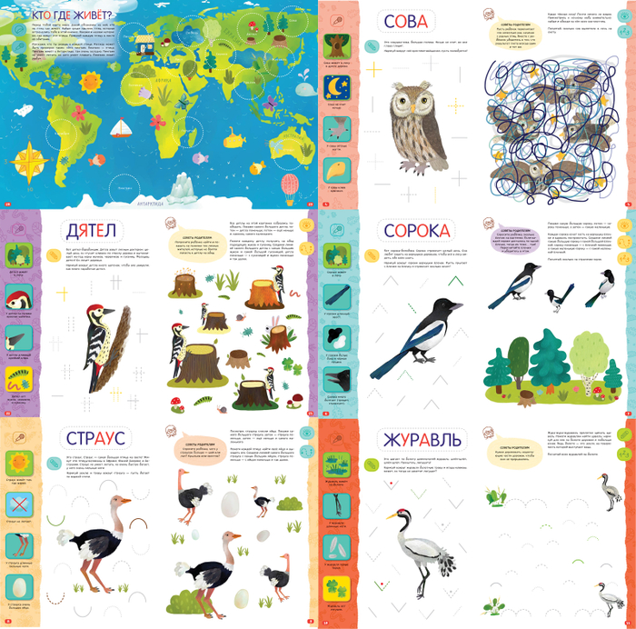 Логика. Птицы