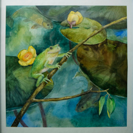 Фимины лягушки