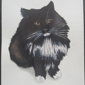 это не просто кот