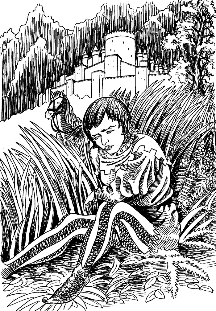 Одна из иллюстраций к книге "Удивительные приключения Билла Грэлли"