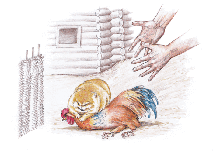 Иллюстрация к детской книге