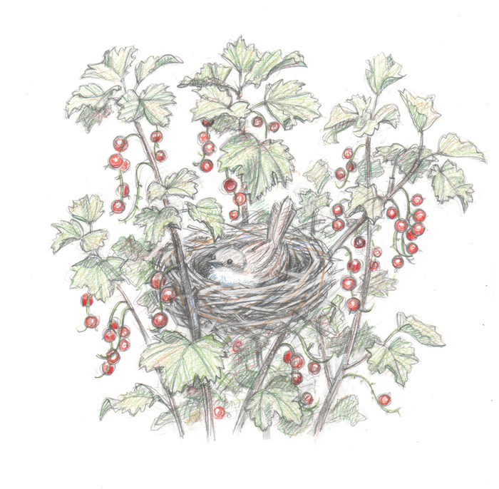 Юрий Третьяков "Толстый мальчишка Глеб"("Речь"2015)