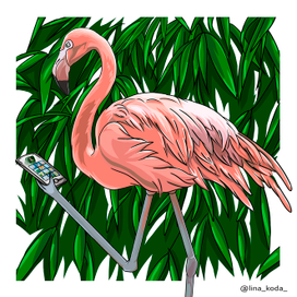 современный фламинго