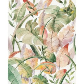 Ботаничекая иллюстрация