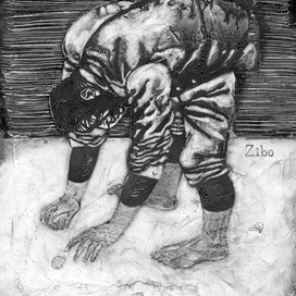 Ракушки Зибо