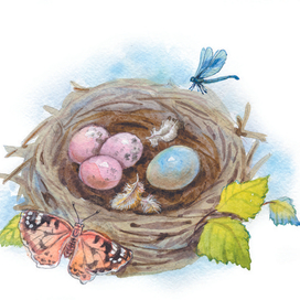 гнездо пеночки-пересмешки