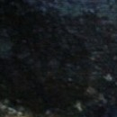 Сирень. Этюд. 