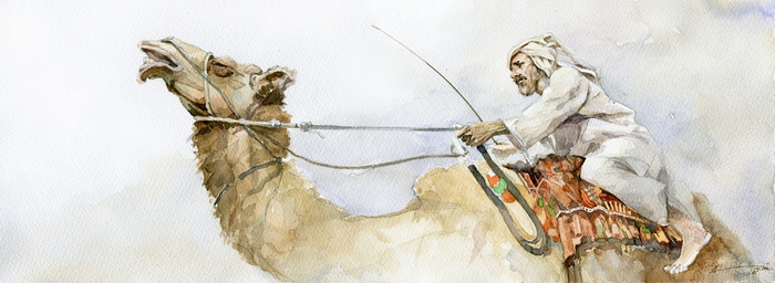 "Верблюжьи бега"