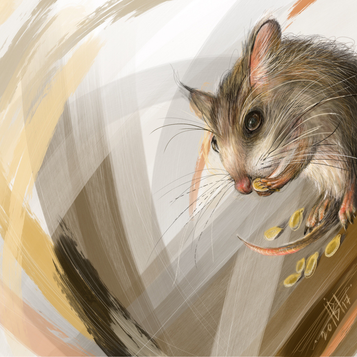 Запасливый мышонок