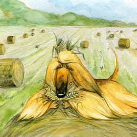 Август. Сено. Комары. Серия «Любимые афганы».