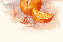 (без названия)