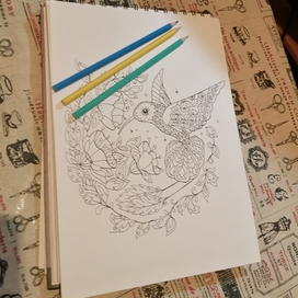 Колибри в стиле зен