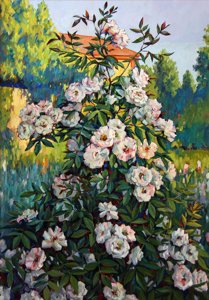 Сад. Плетистые розы.