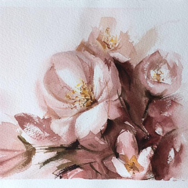 Розовые бутоны