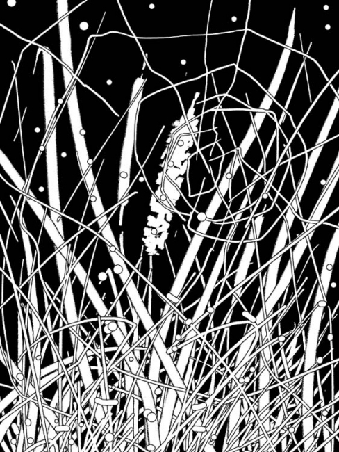 Первый снег