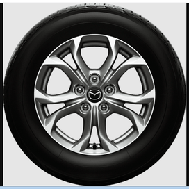 Образец окраски колева