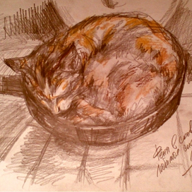 Дура - Феня. Любимое спательное место - сковородка...)