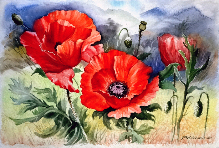 ,,Маки...фамильное,,