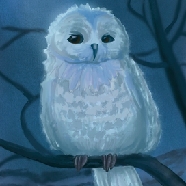 Глаза в ночи