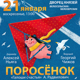 Поросёнок учится летать