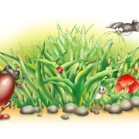 джунгли для жука 