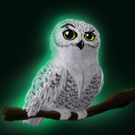 polar owl