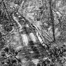 Дорога через лес