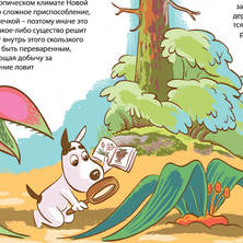 Разнообразие растительного мира