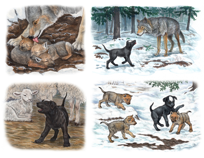 А.П.Чехов "Белолобый"