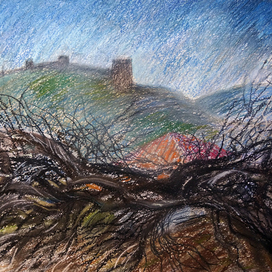 Грузия. Сигнахи. Старая виноградная лоза