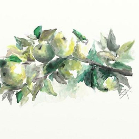 яблочные яблоки