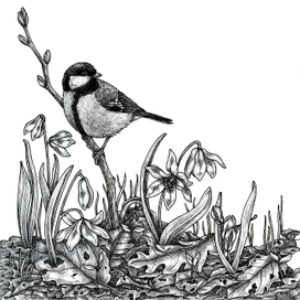 Весна в лесу