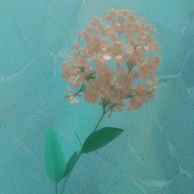 Ожидание весны⛄❄🌱🌺