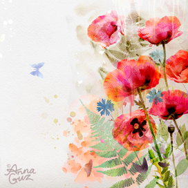 Маки. акварельный этюд