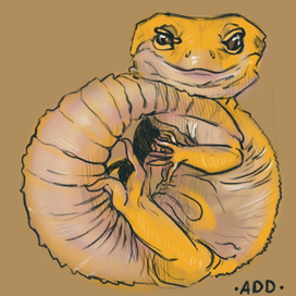 Эублефарчик