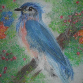 синяя птица