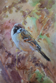 из серии "Осень"