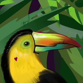 Джунгли зовут