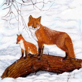 животные масло, карандаш