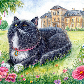 Кот и замок