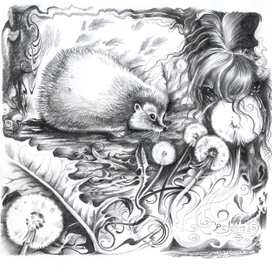 одуванчики