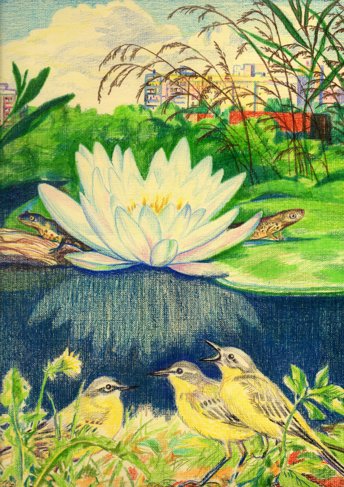 Иллюстрация книги Ю.Маслова Пряник для слона