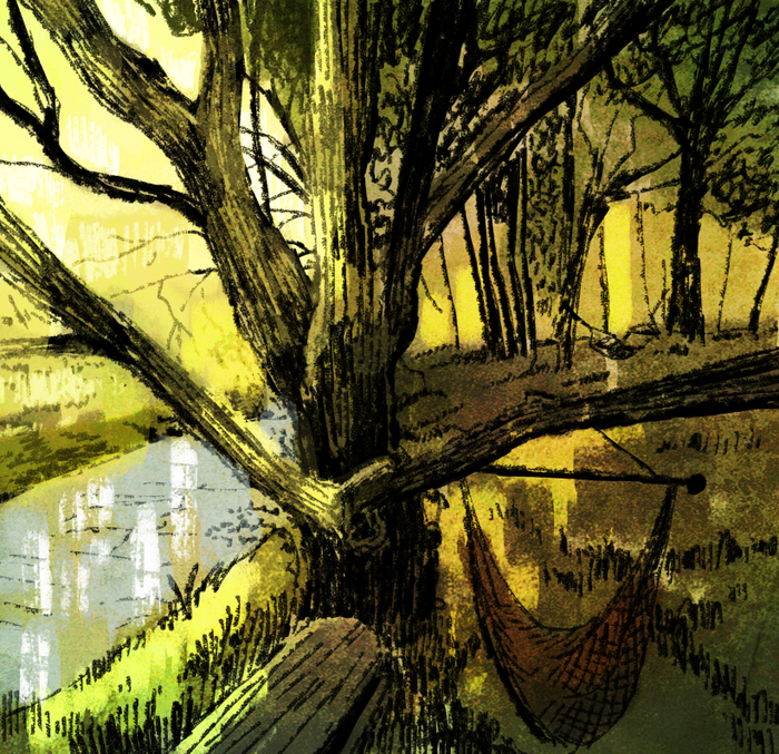 Любимое дерево