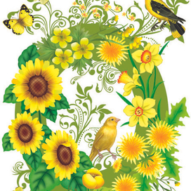 цветы желтые