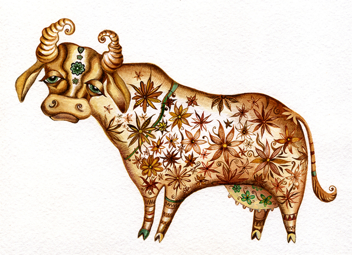 цветочная корова / flower cow 