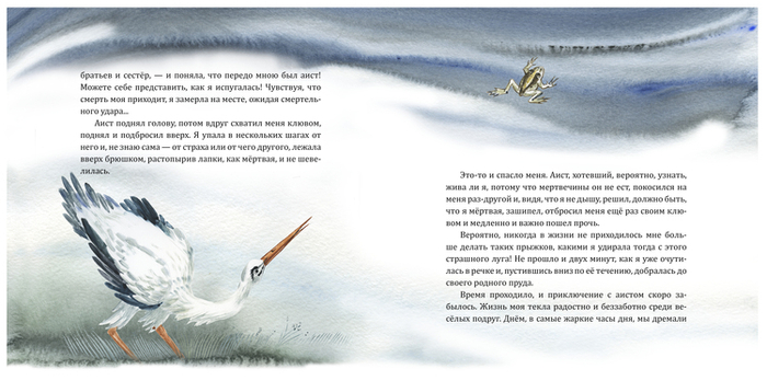 Лягушка-квакушка