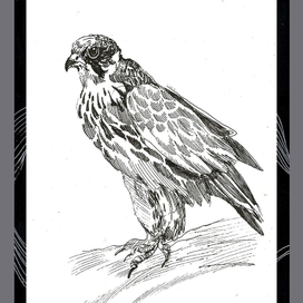 Птицы Inktober-2018