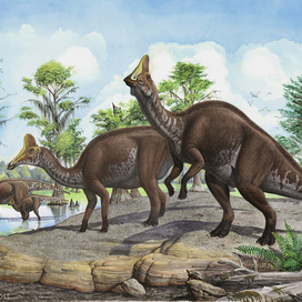 Amurosaurus riabinini