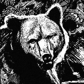 Иллюстрация к рассказу "Медведь"